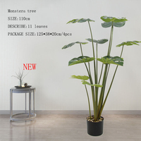Turtle back indoor tree monstera for outdoor indoor garden modern decoration