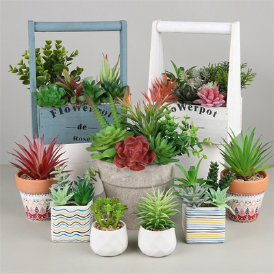 Succulent artificial Plants office home indoor decor Assorted succulents plants live with Planter Po