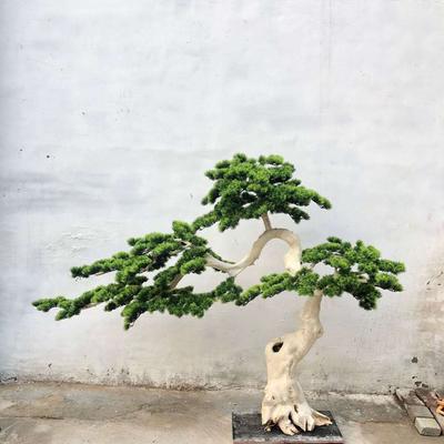 Podocarpus bonsai Large outdoor indoor Artificial Bonsai Tree green artificial pine tree for home pa