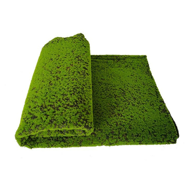 wall green moss wall art panels preserved forest moss decorative preserved artificial moss wall pane