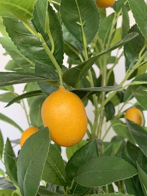 100cm 120cm 150cm 180cm artificial lemon tree for indoor home garden decoration green plastic faux p